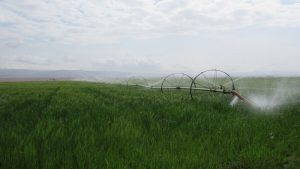 تجهیزات آبیاری در کشاورزی